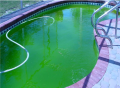 Como limpar piscina verde